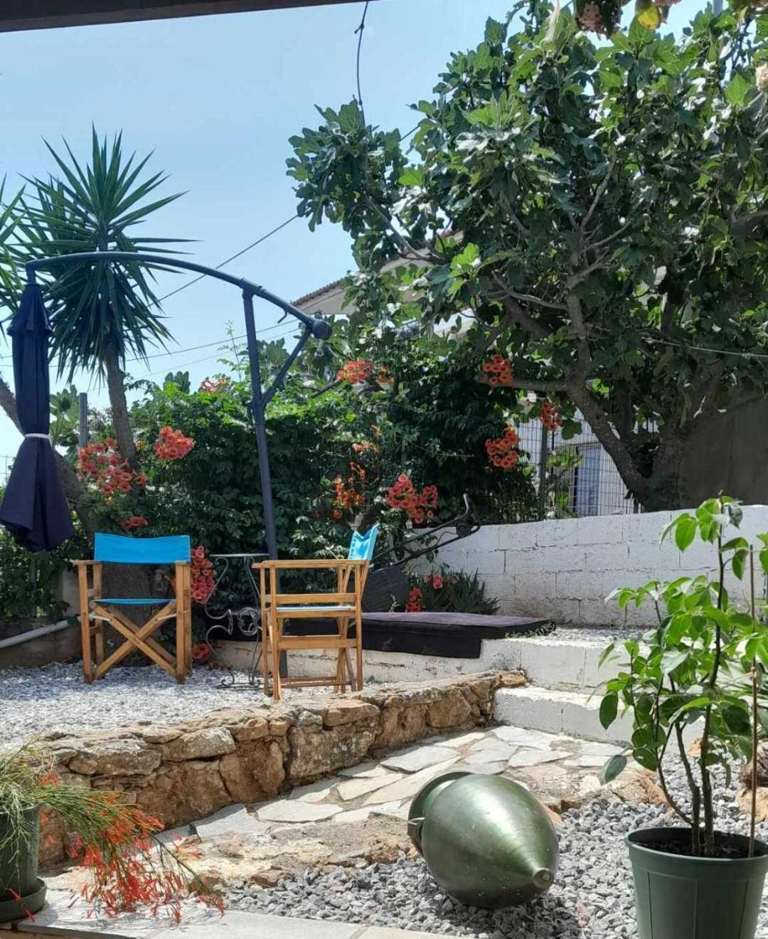 Paradise Dhaskalion Luaran gambar